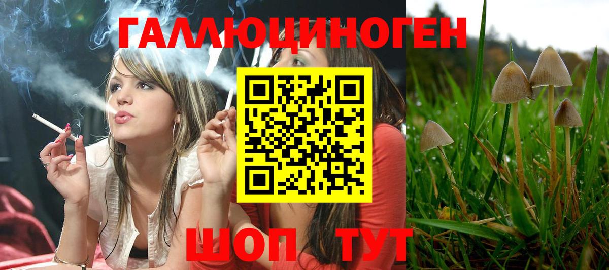 Псилоцибиновые грибы прущие грибы  Вход с VPN  Галлюциногенные грибы мухоморы  Ипатово 